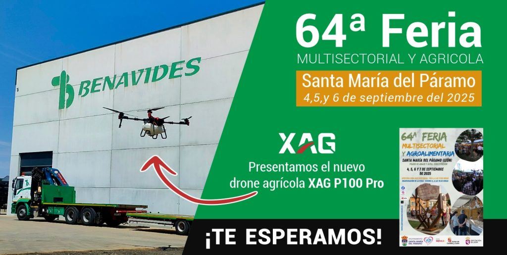 64 Feria Santa Maria del Paramo - BENAVIDES