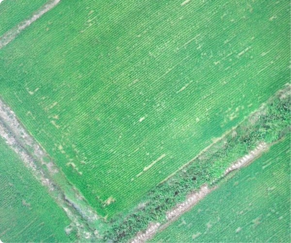 Foto aérea de un campo sin utilizar la APP RealTerra 2 de XAG