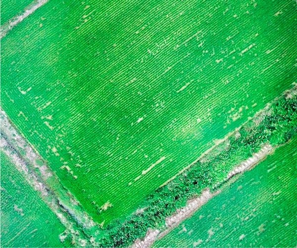 Foto aérea de un campo utilizando la APP RealTerra 2 de XAG