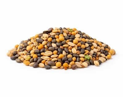 Semillas para cubiertas vegetales / abonado verde