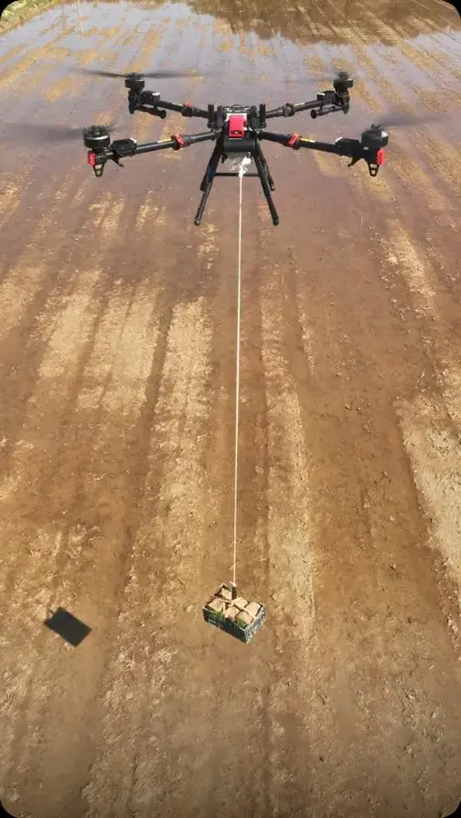 Bandejas de semilleros