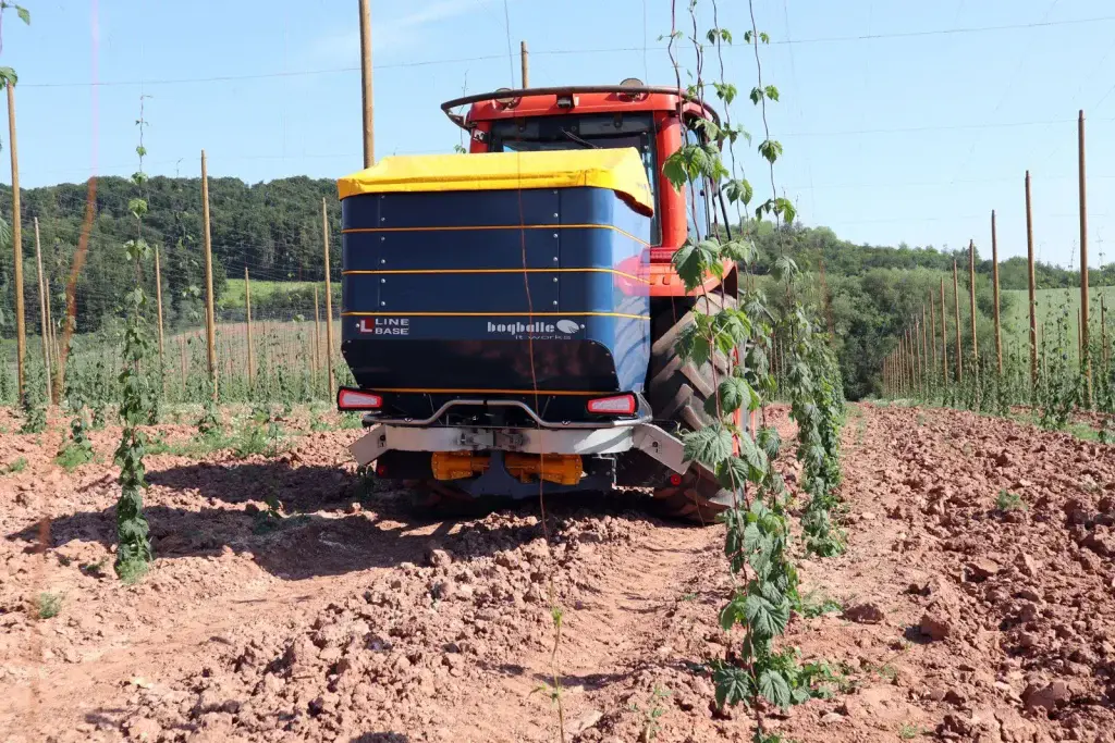 Abonadora Bogballe L15W base trabajando entre las hileras de una plantación de lúpulo