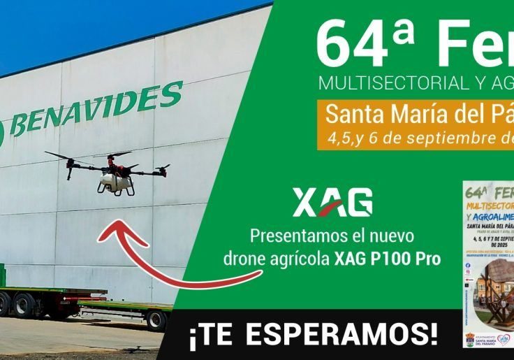 64 Feria Santa Maria del Paramo - BENAVIDES